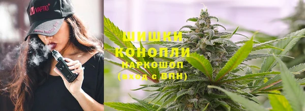 гидропоника Алзамай