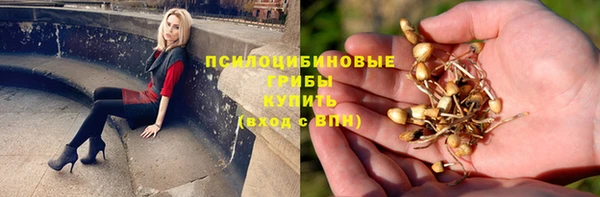 эйфоретик Алексин