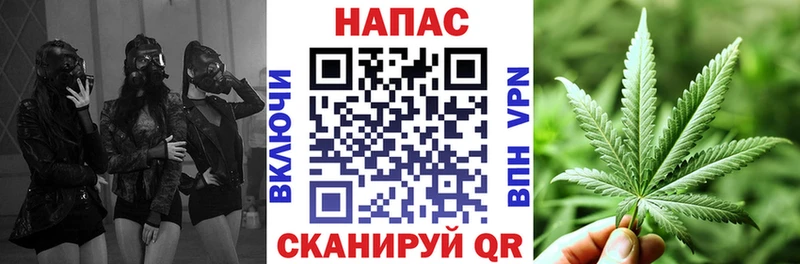 Конопля ГИДРОПОН  Богданович 